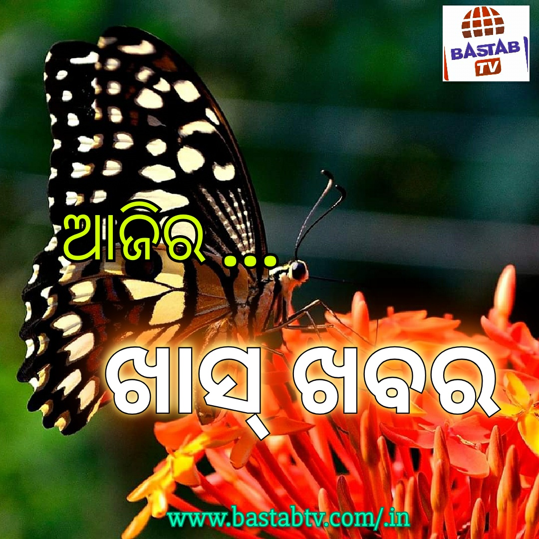 ଅଜିର ଖାସ୍ ଖବର