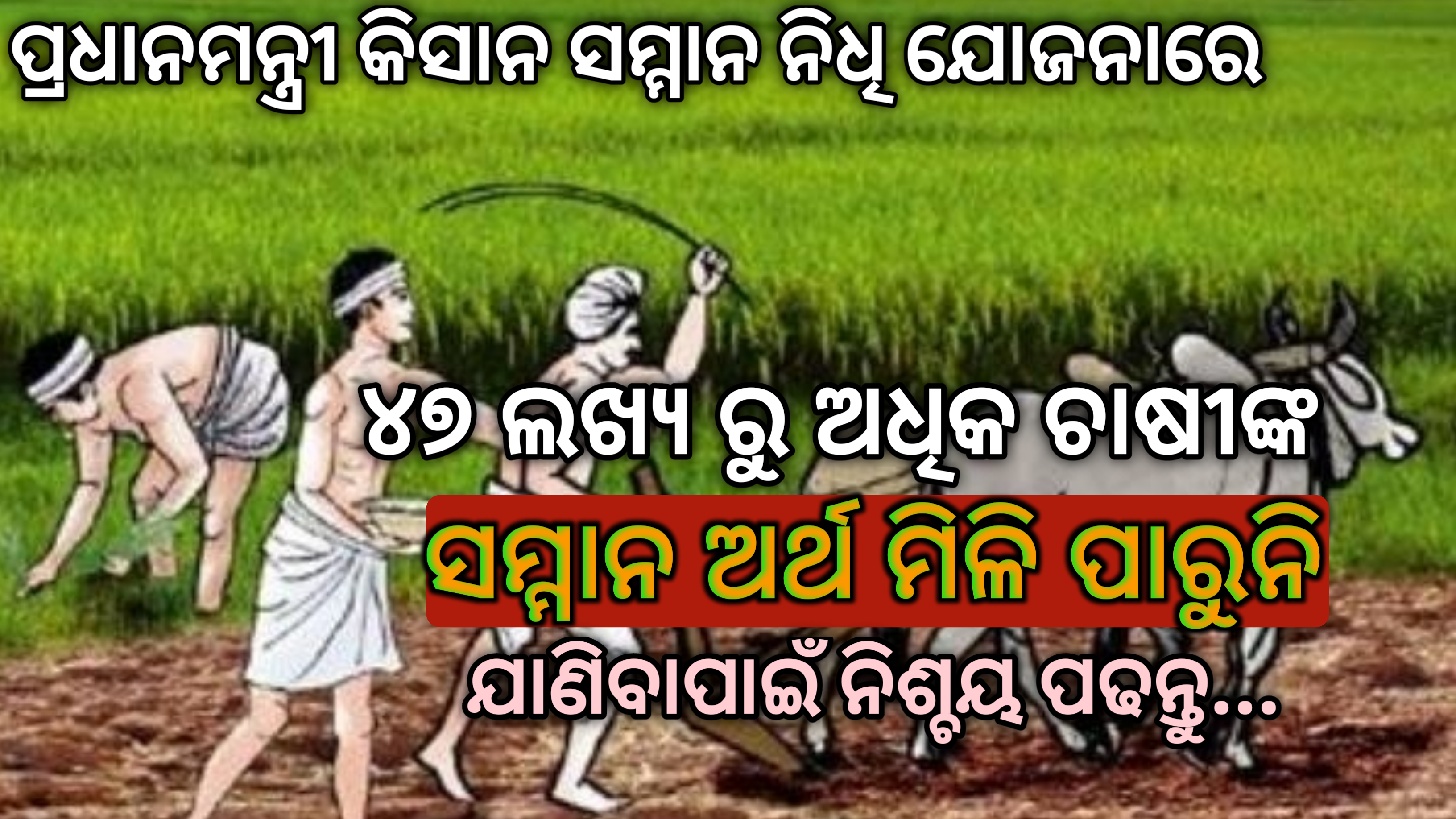 ପ୍ରଧାନମନ୍ତ୍ରୀ-କିସାନ ଯୋଜନା ଅଧୀନରେ ୪୭  ଲକ୍ଷରୁ ଅଧିକ ଚାଷୀଙ୍କ ଦେୟ ବନ୍ଦ ହୋଇଯାଇଛି, ଜାଣନ୍ତୁ…