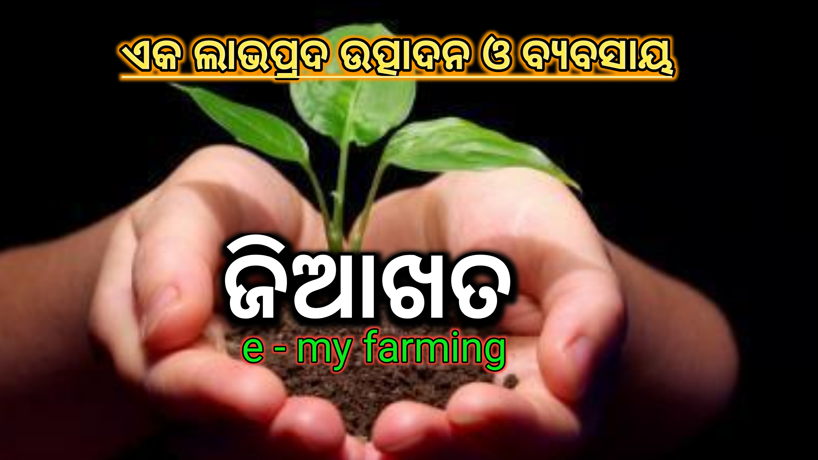 ଭର୍ମିକମ୍ପୋଷ୍ଟ ବା ଜିଆଖତ ଉତ୍ପାଦନ ଏକ ଲାଭଦାୟକ ବ୍ୟବସାୟ।
