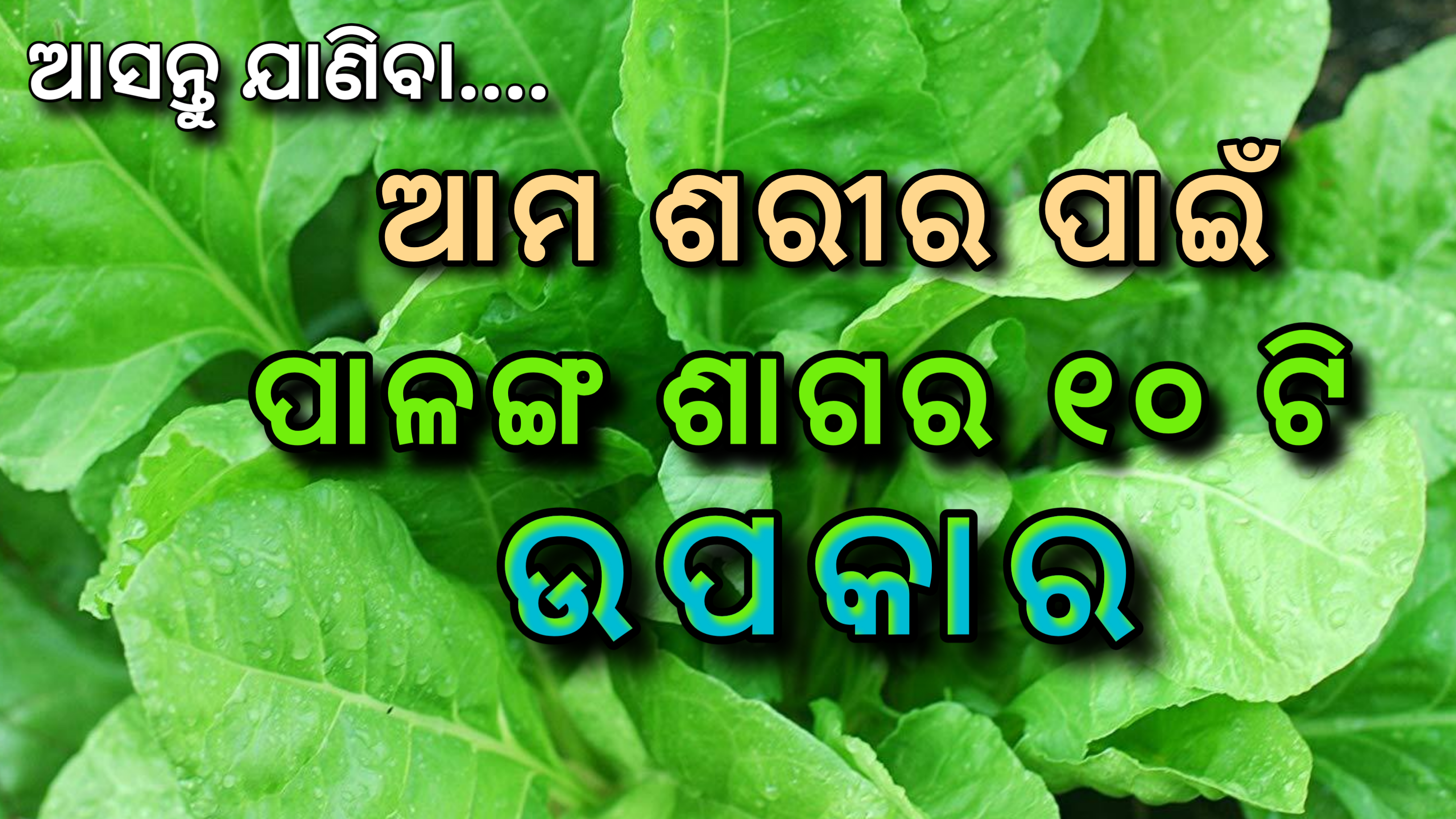 ଆସନ୍ତୁ ଜାଣିବା  ଆମ ଶରୀର ପାଇଁ ପାଳଙ୍ଗ ଶାଗର ୧୦ ଟି ଉପକାର…