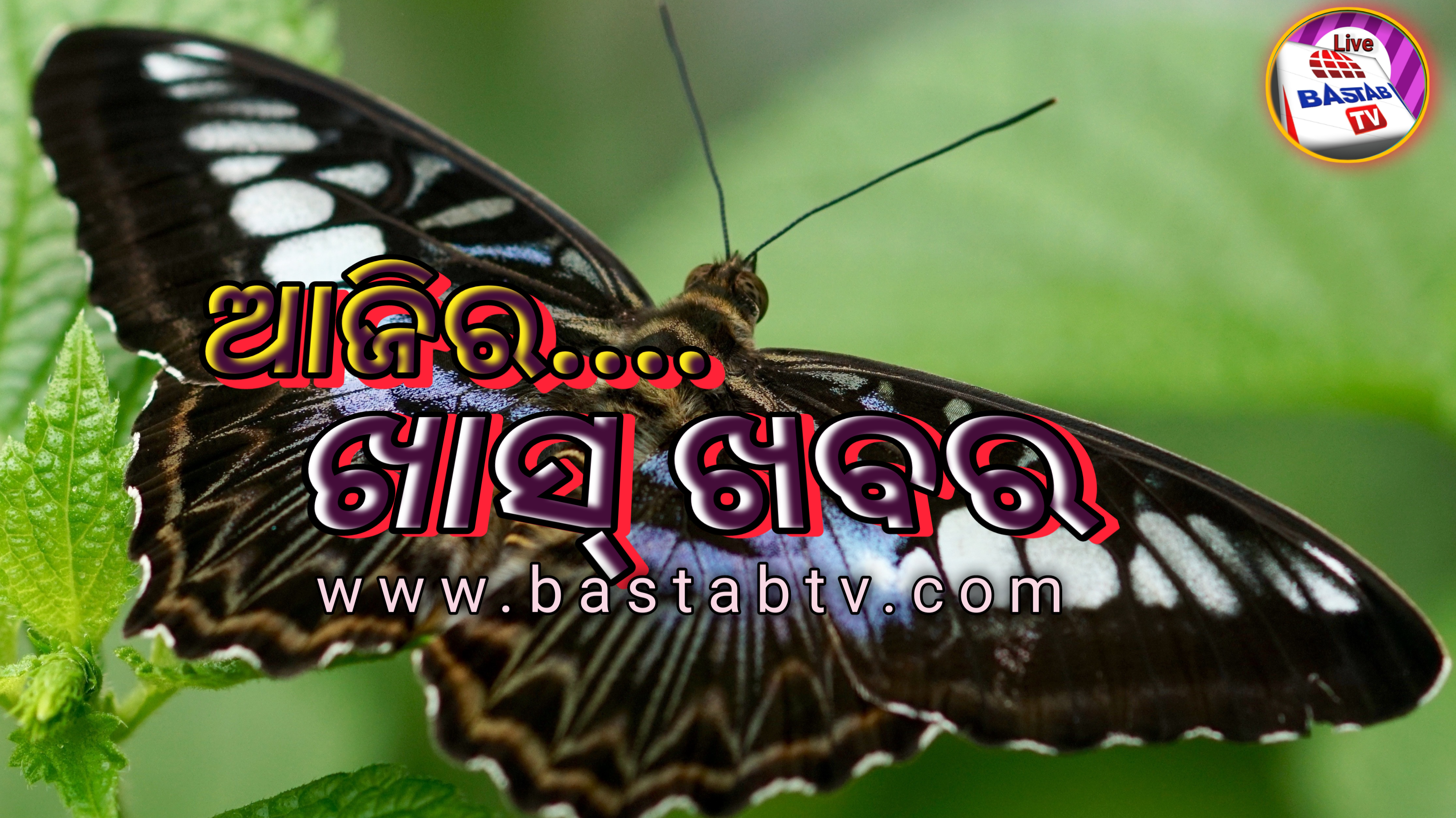 ଆଜି ଖାସ୍ ଖବର