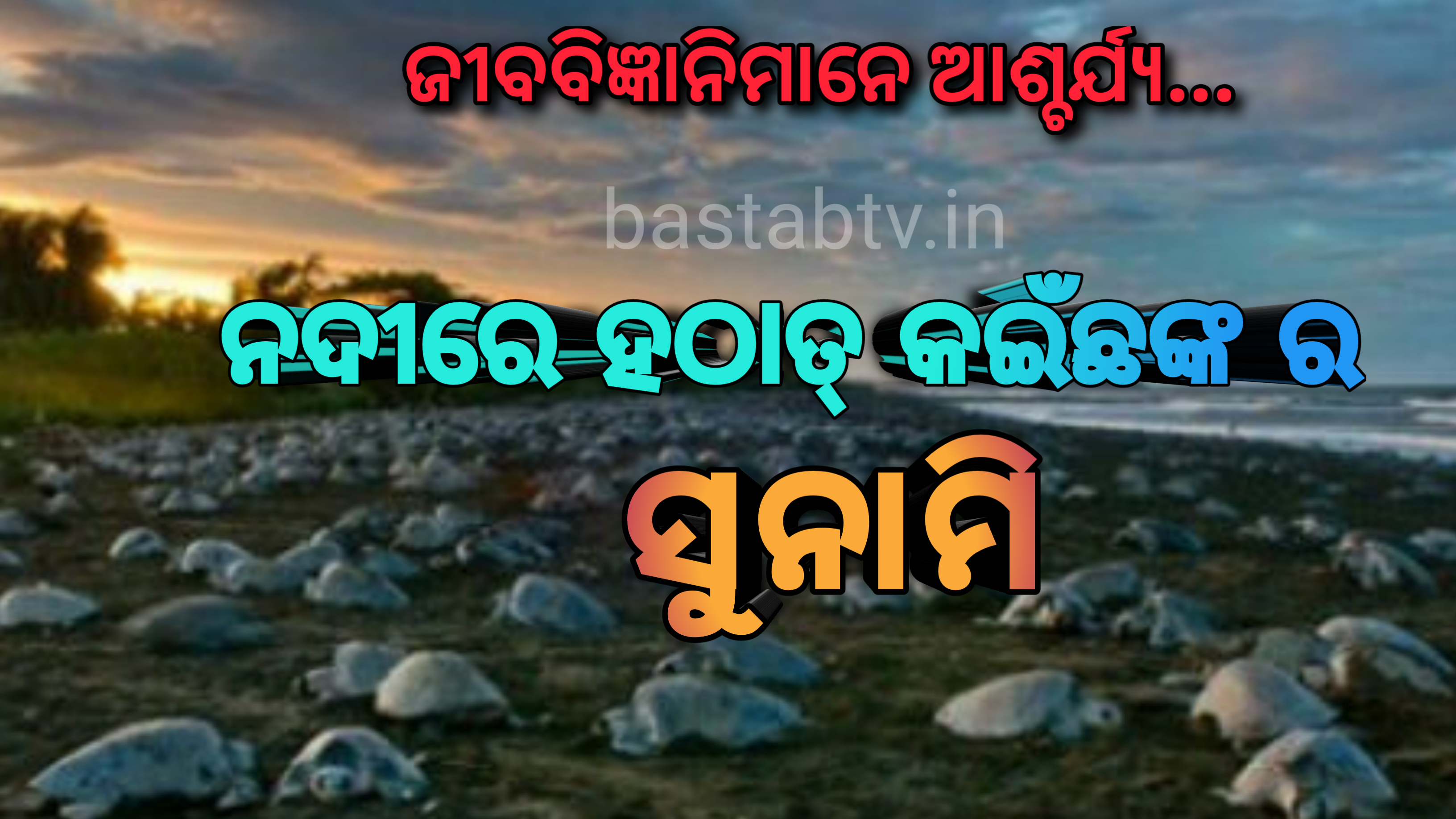 ଅଜବ ମାମଲା: ନଦୀରେ ହଠାତ୍ କଇଁଛଙ୍କର ସୁନାମି,ଜୀବବିଜ୍ଞାନୀମାନେ ଆଶ୍ଚର୍ଯ୍ୟ….
