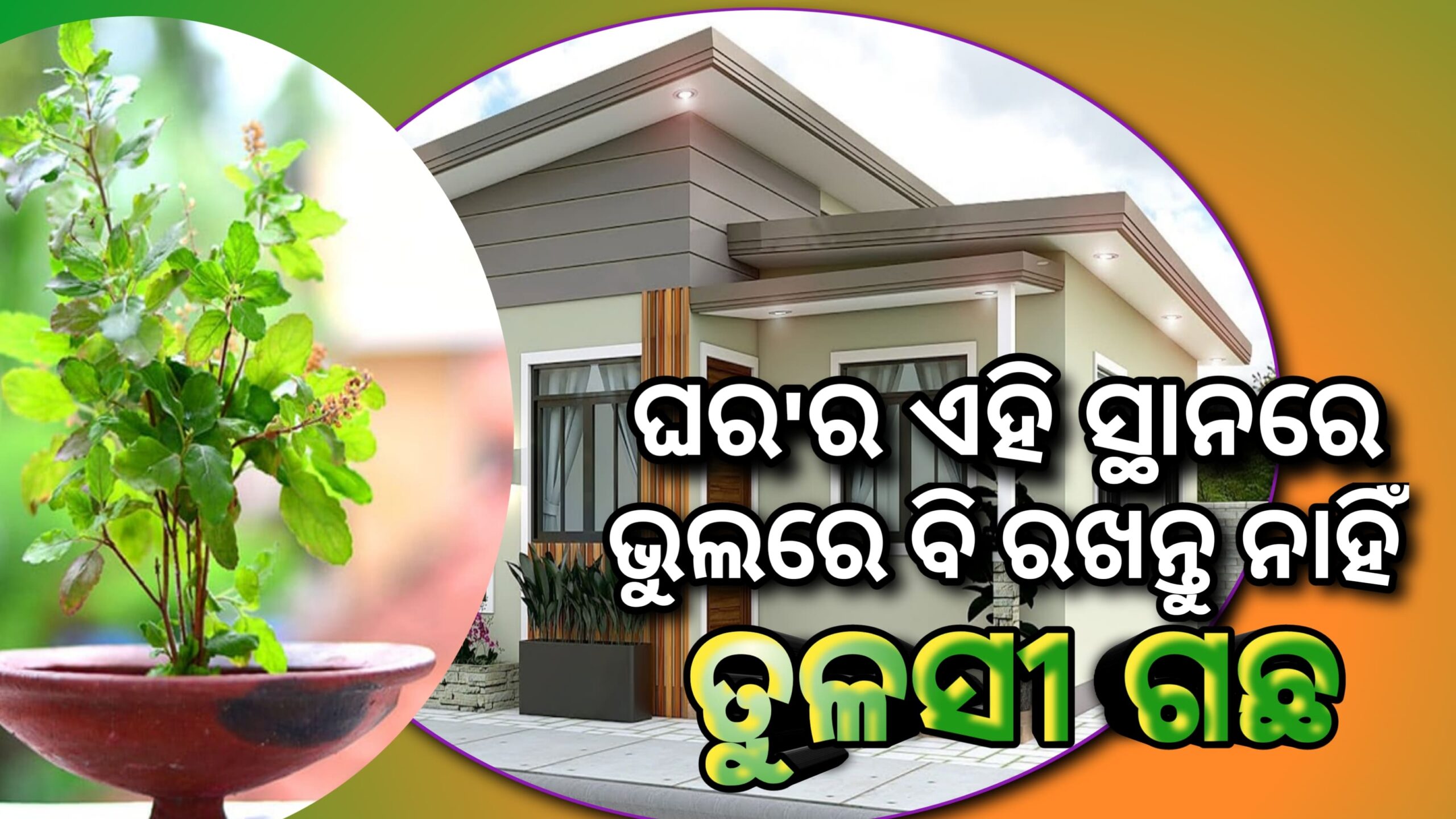ଘରର ଏହି ସ୍ଥାନରେ ଭୁଲରେ ବି ରଖନ୍ତୁ ନାହିଁ ତୁଳସୀ ଗଛ ,ଧନଏବଂ ବୁଦ୍ଧି ନଷ୍ଟ ହେବ