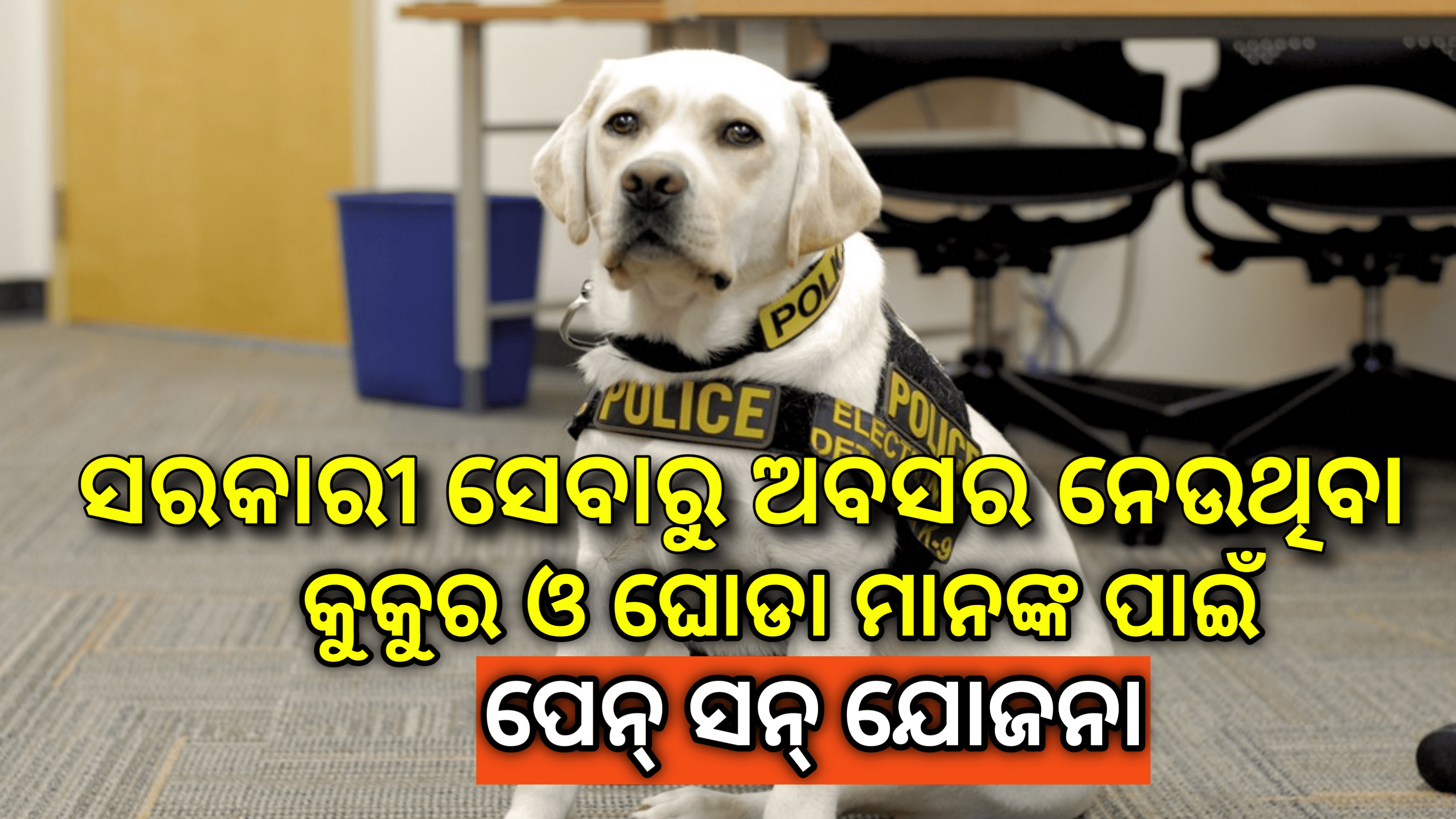 ଏହି ଦେଶ ସରକାରୀ ସେବାରୁ ଅବସର ନେଉଥିବା କୁକୁର ଏବଂ ଘୋଡାମାନଙ୍କୁ ପେନ୍ସନ୍ ପ୍ରଦାନ କରିବ