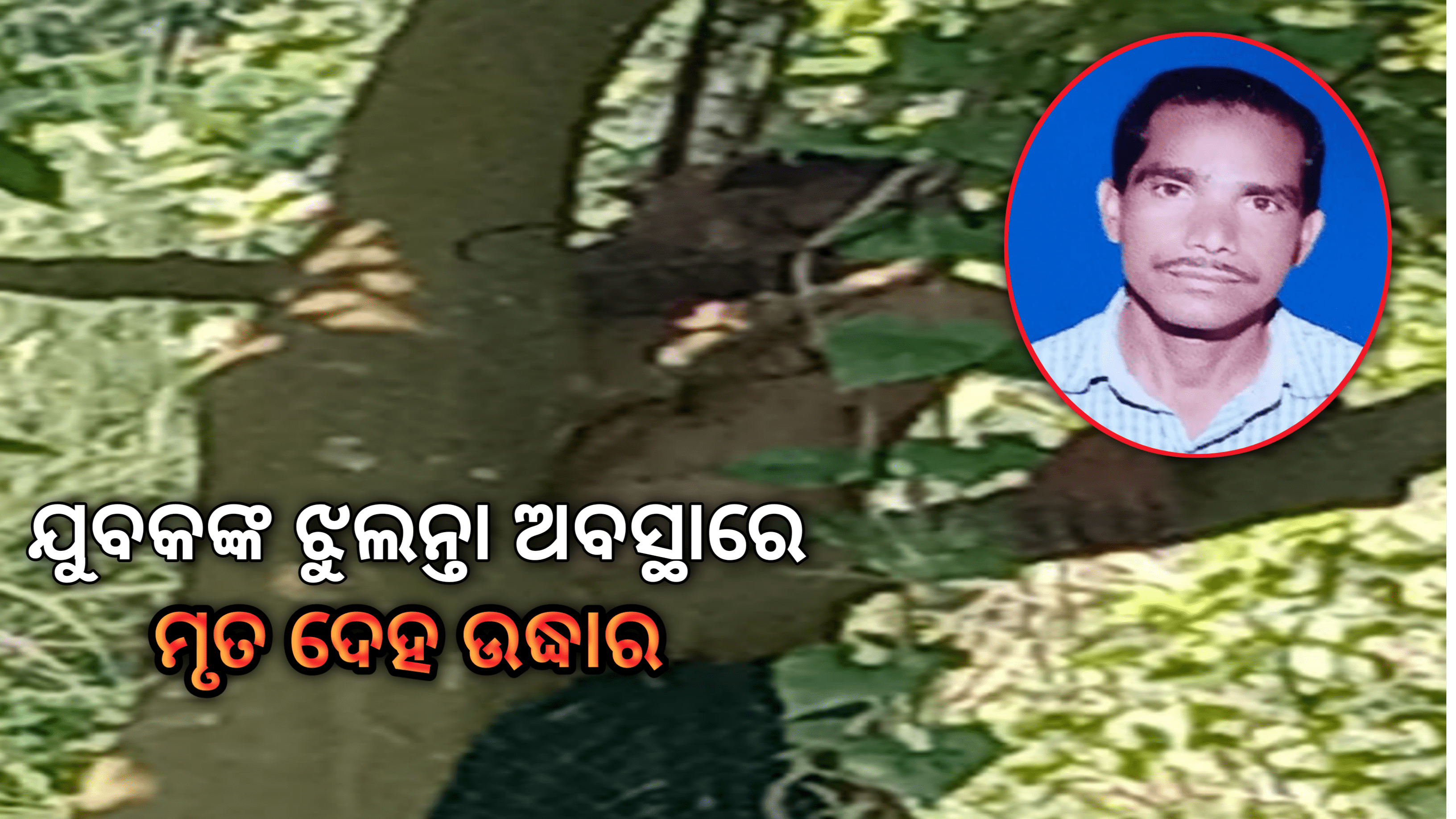 ଯୁବକଙ୍କ ଝୁଲନ୍ତା ମୃତଦେହ ଉଦ୍ଧାର