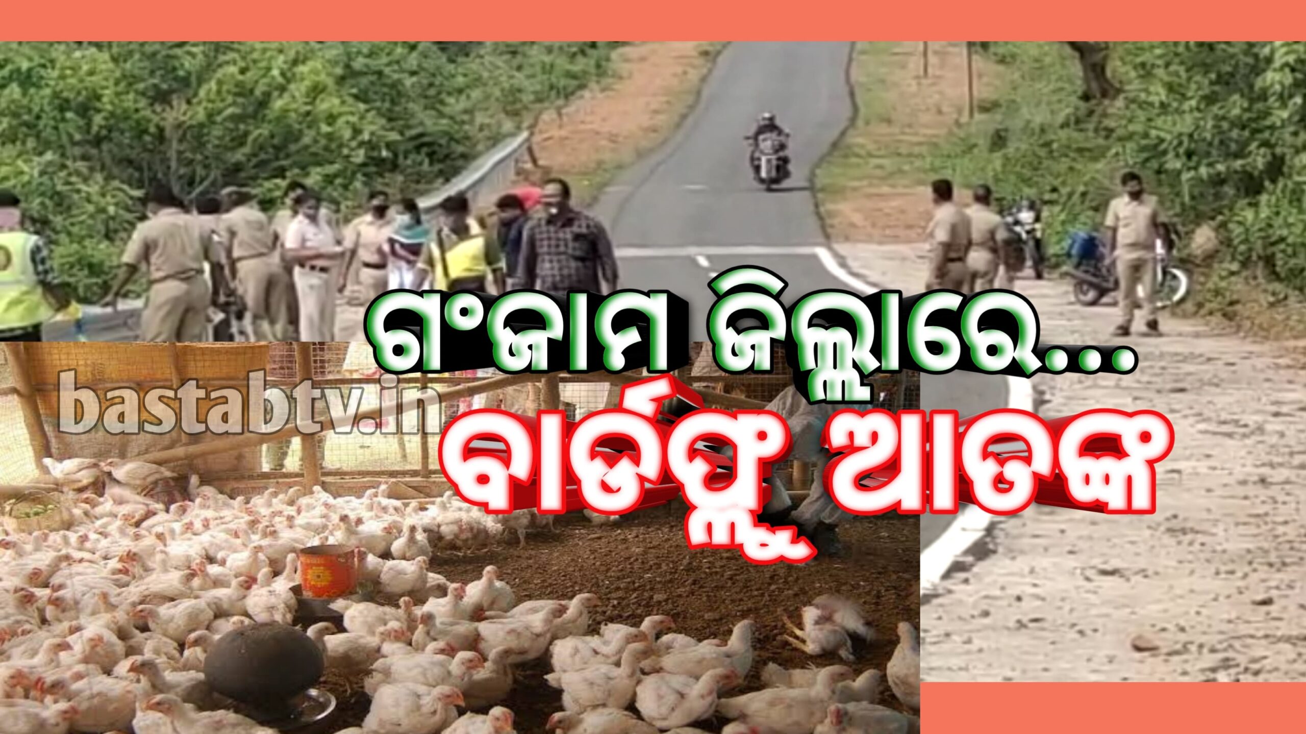 ଗଂଜାମ ଜିଲ୍ଲା କୋଦଳା ଅଂଚଳରେ ବାର୍ଡଫ୍ଲୁ ଆଶଙ୍କା….