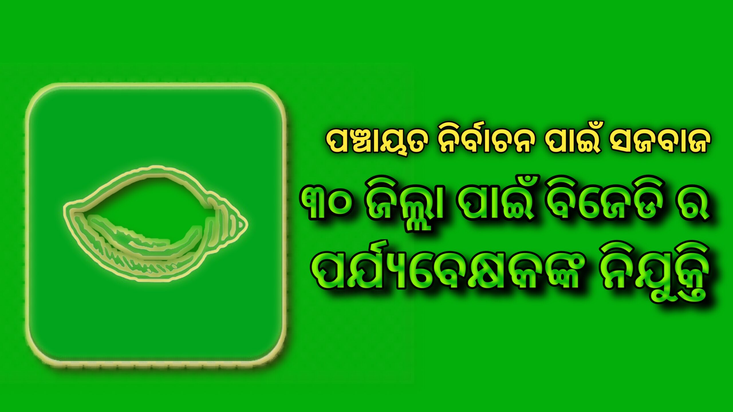 ୩୦ ଜିଲ୍ଲା ପାଇଁ ବିଜେଡିର ନୂଆ ପର୍ଯ୍ୟବେକ୍ଷକ ନିଯୁକ୍ତ