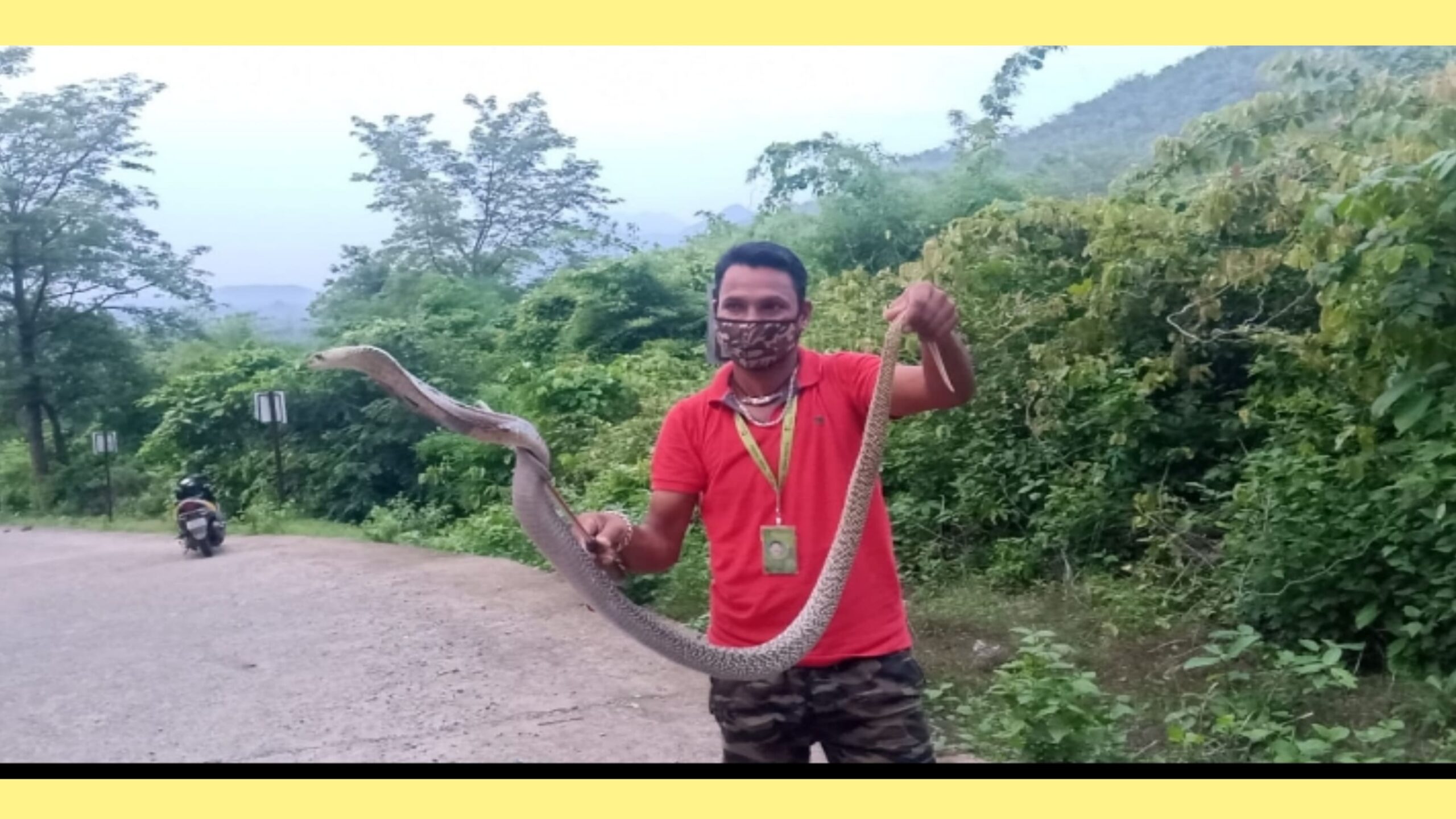 ଯୁବ ସାପ ଧରାଳିଙ୍କୁ ମିଳୁନାହିଁ ସରକାରୀ ସହାୟତା…