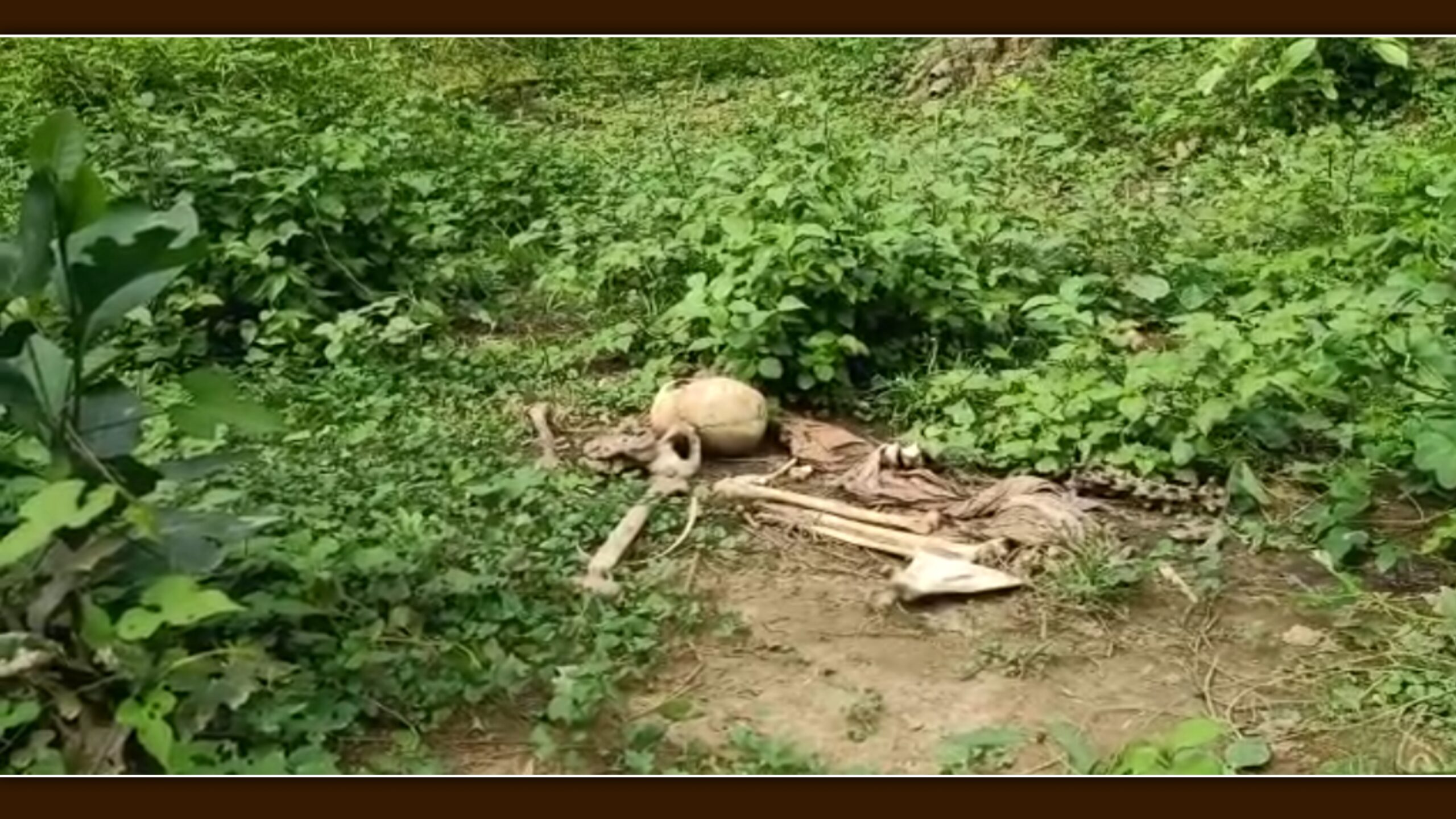 ଜଳେଶ୍ବର ବ୍ଲକ ବିରିଶପୁର ଗାଁ’ର ଏକ ନିଛାଟିଆ ସ୍ଥାନରୁ ଉଦ୍ଧାର ହେଲା ନର କଙ୍କାଳ