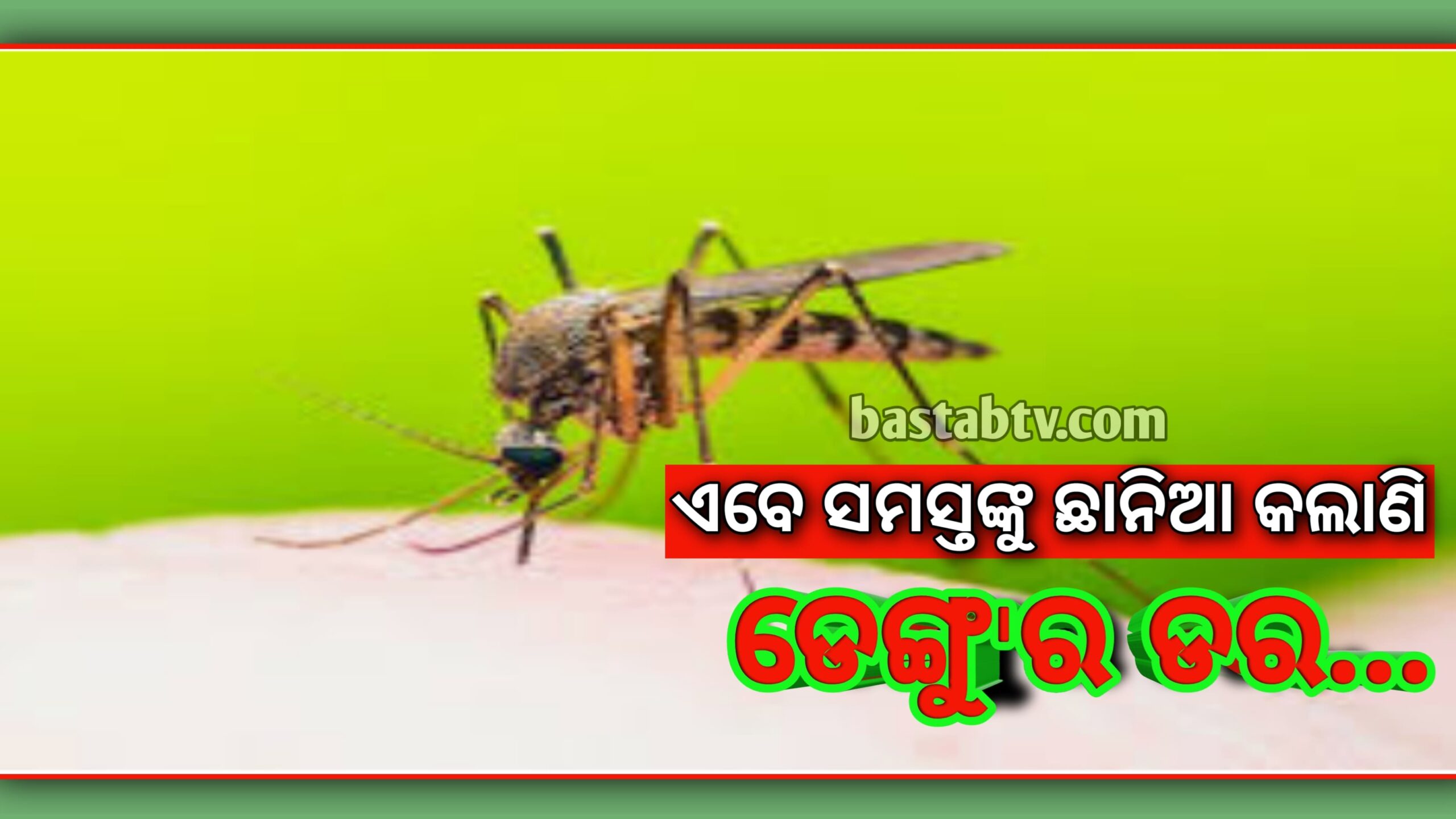 ଏବେ ଡେଙ୍ଗୁର ଡର ସମସ୍ତଙ୍କୁ ଛାନିଆ କଲାଣି ରାଜଧାନୀରୁ ପ୍ରତିଦିନ ପ୍ରାୟ ୩୦ରୁ ଉର୍ଦ୍ଧ୍ୱ ରୋଗୀ