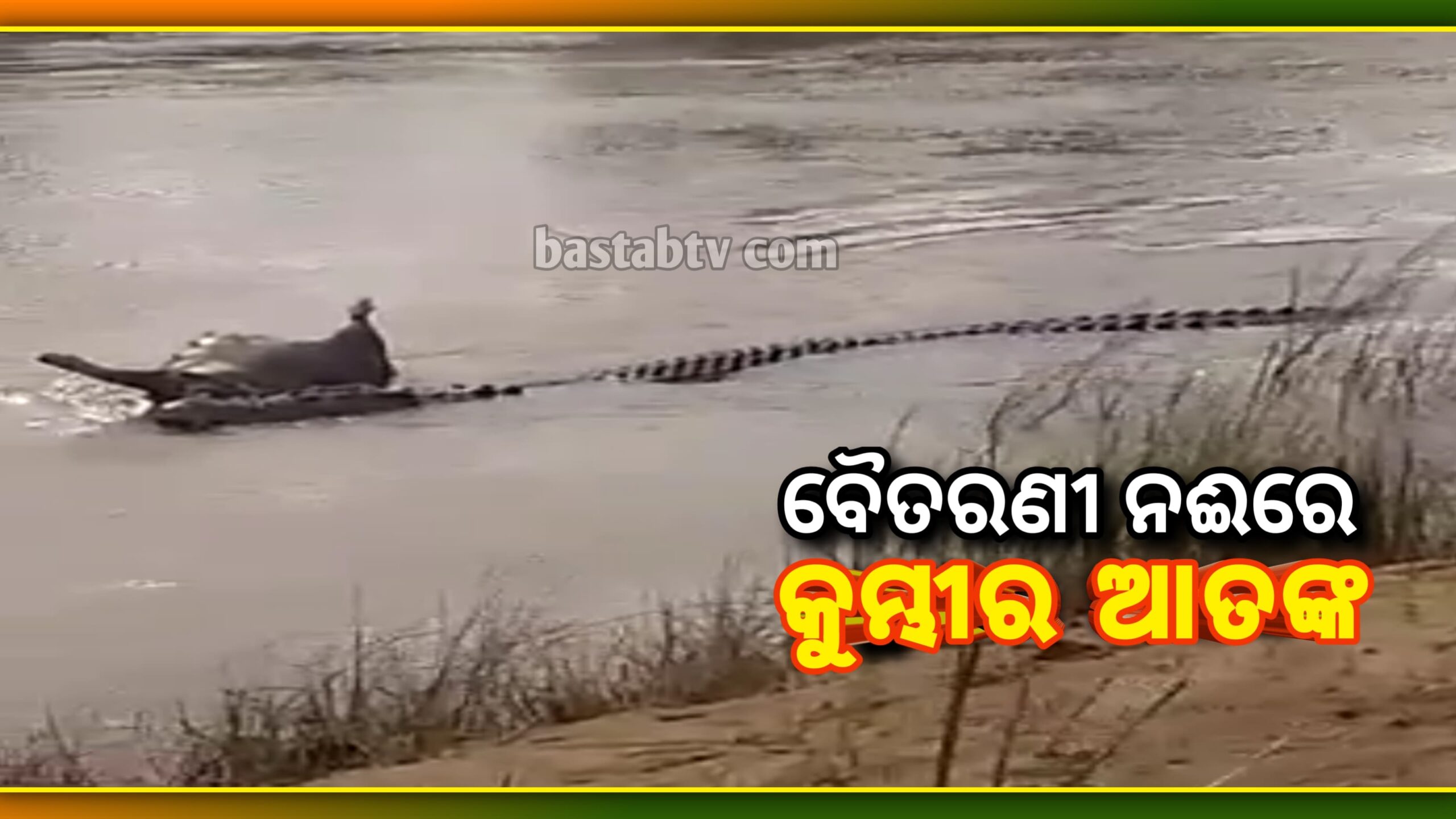 ଚାନ୍ଦବାଲି ବ୍ଲକ ସୁନ୍ଦରପୁର ପଞ୍ଚାୟତ ଦୋହରା ପାଟଣା ନିକଟରେ କୁମ୍ଭୀର ଆତଙ୍କ….