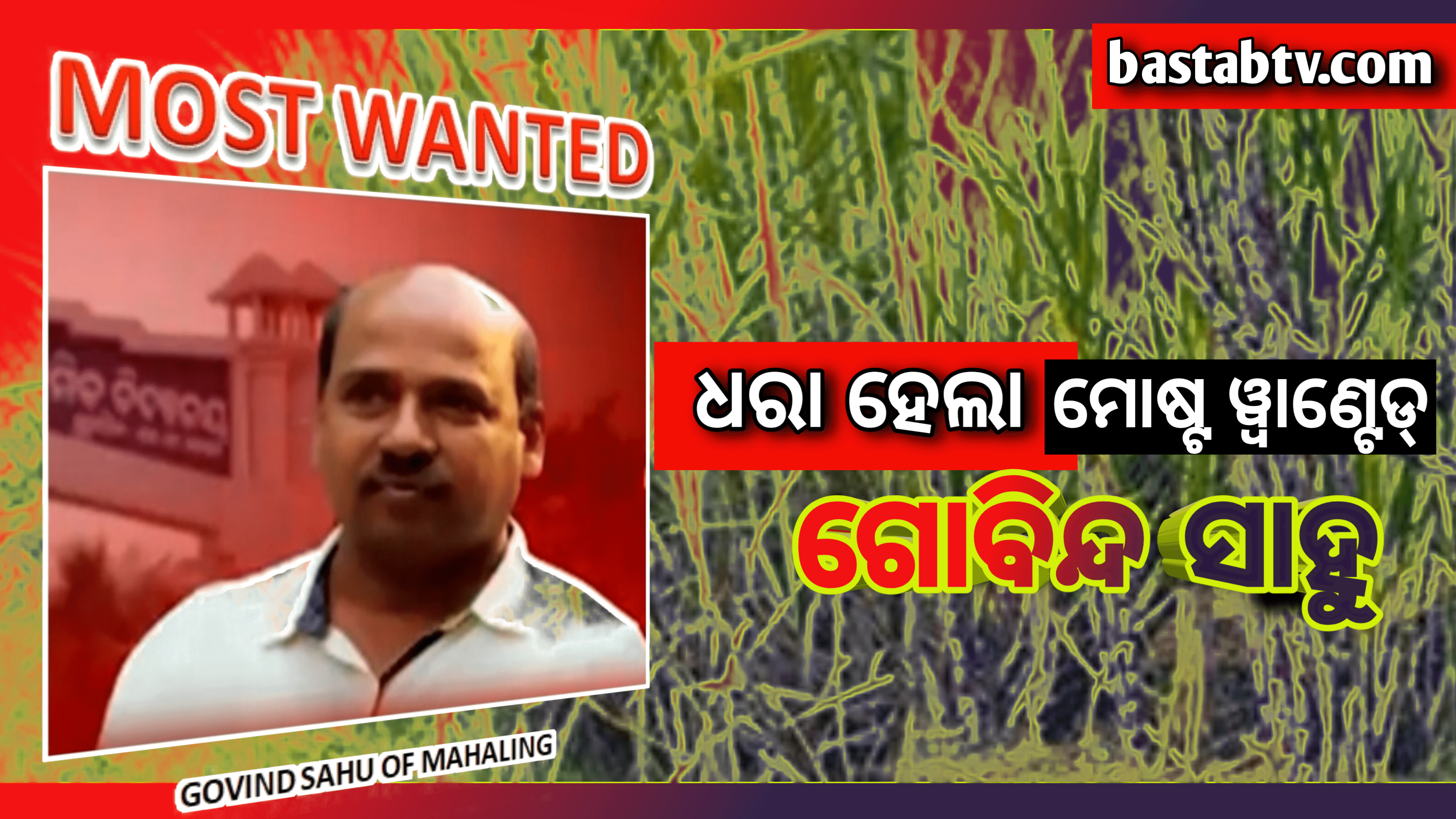 ଧରା ପଡିଲା ଗୋବିନ୍ଦ ସାହୁ, ଆଖୁ ବାଡ଼ିରେ  ଲୁଚିଥିଲା ଗୋବିନ୍ଦା…