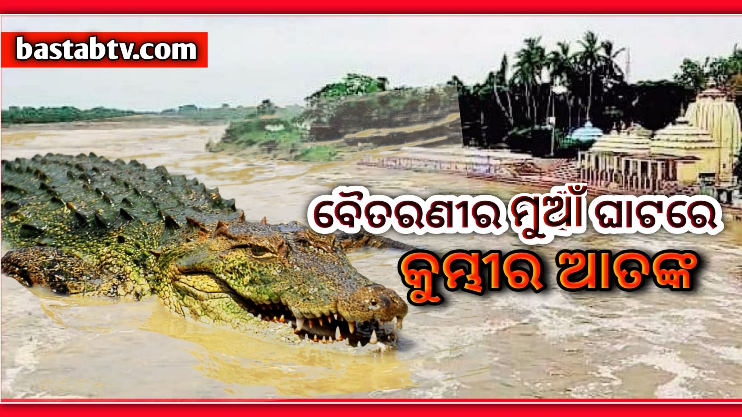 ଚାନ୍ଦବାଲି ନିକଟସ୍ଥ ବୈତରଣୀନଦୀର ମୁଆଁଘାଟରେ କୁମ୍ଭୀର ଆତଙ୍କ…