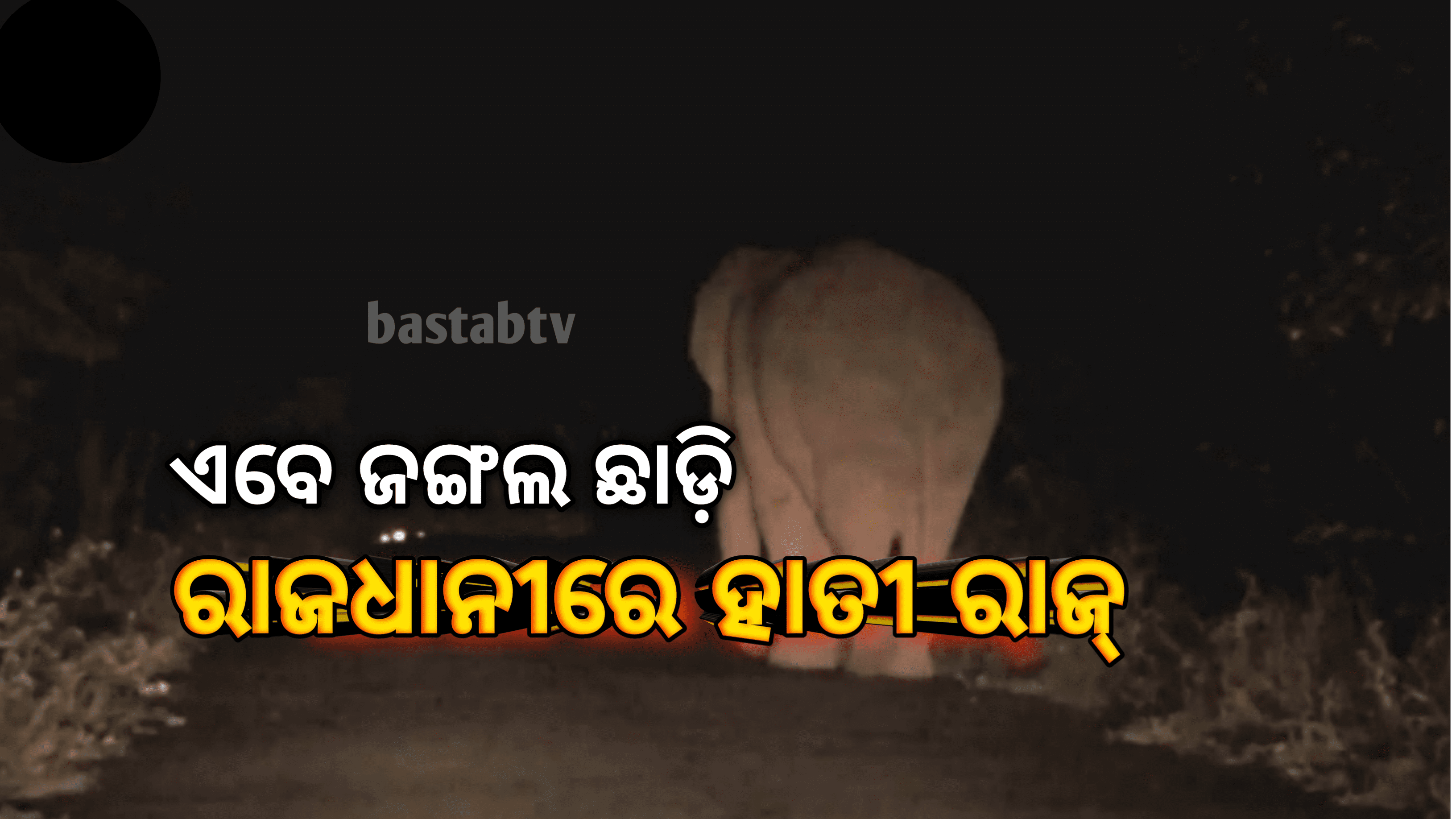 ଏବେ ଜଙ୍ଗଲ ଛାଡି ରାଜଧାନୀରେ ହାତୀ ଆତଙ୍କ…