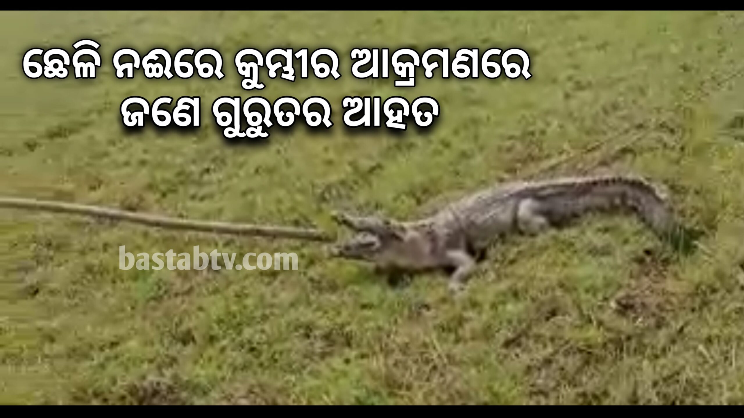 ଭଦ୍ରକ ଜିଲ୍ଲା ପିରହାଟ ଥାନା ଶ୍ୟାମସୁନ୍ଦରପୁର ଗାଁ ଛେଳି ନଈରେ କୁମ୍ଭୀର ଆକ୍ରମଣରେ ଜଣେ ଆହତ…