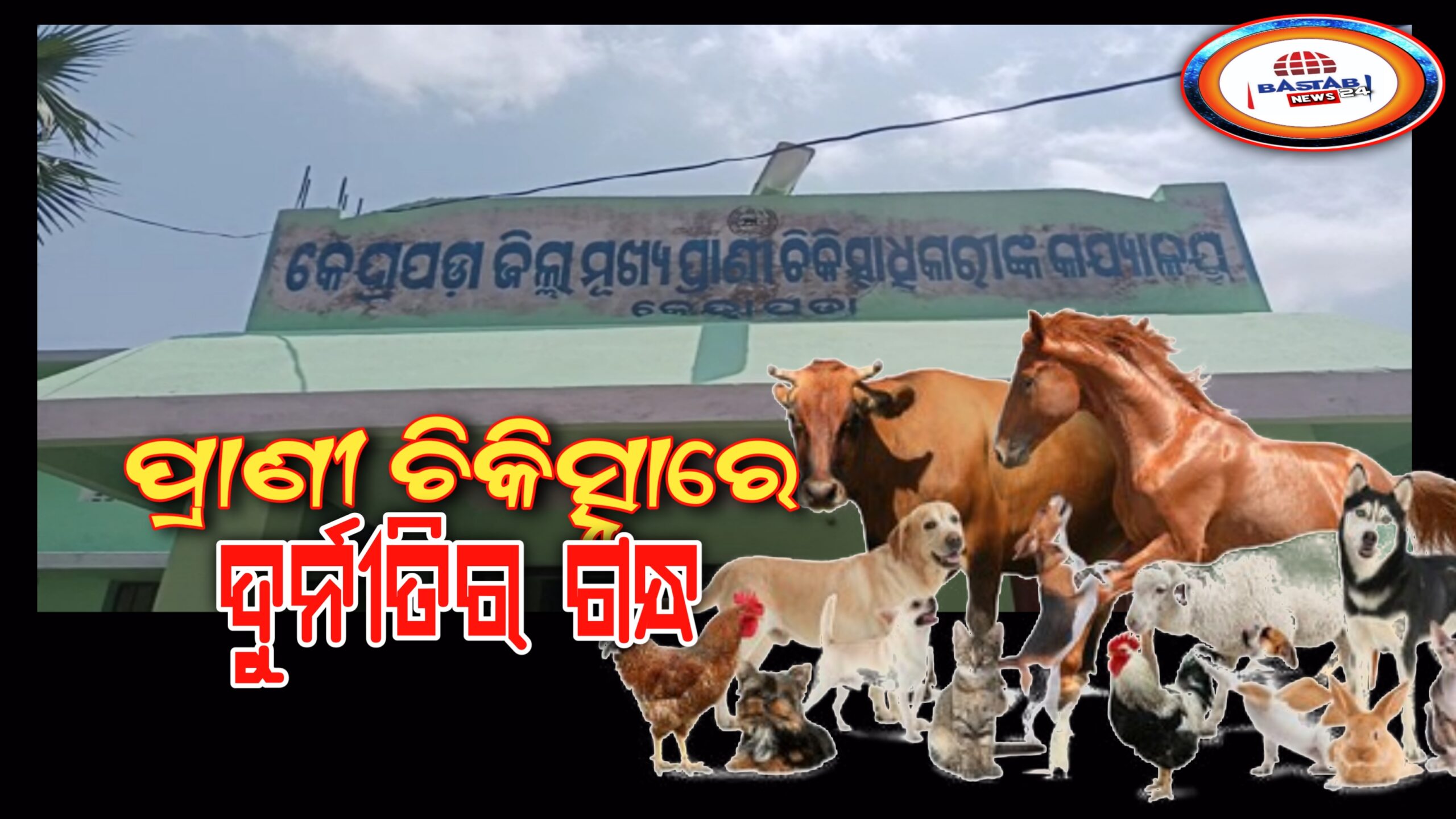 କେନ୍ଦ୍ରାପଡ଼ା ପ୍ରାଣୀ ଚିକିତ୍ସା ସେବାରେ ଦୁର୍ନୀତିର ଗନ୍ଧ ବର୍ଷ ବର୍ଷ ଧରି ପ୍ରାଣୀ ଚିକିତ୍ସାଳୟରେ ଝୁଲୁଛି ତାଲା…