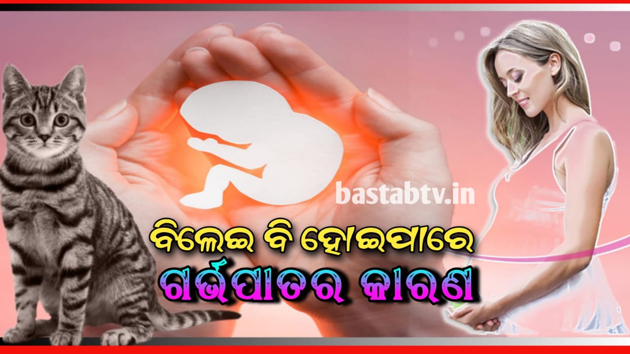 ସ୍କୁଟି-ବାଇକ୍-ଅଟୋରେ ଯାତାୟାତ ଗର୍ଭପାତର କାରଣ ହୋଇପାରେ: ବିଲେଇକୁ ଭଲ ପାଇବା ଏବଂ ପେଟେଇ ଶୋଇବା ମା ହେବାର ସୁଖ ଛଡ଼ାଇ ନେଇପାରେ…