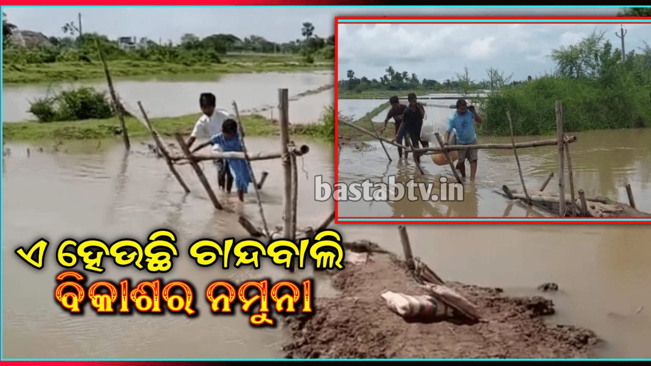 ବିକାଶର ଆଉ ଏକ ନମୁନା- ଚାନ୍ଦବାଲିର ରାଜେନ୍ଦ୍ରପଲ୍ଲୀ ଗାଁରେ ଭରା ନଈରେ ବାଉଁଶ ଚାର’ହିଁ ଭରଷା ଦୋଳିରେ ବୁହାହେଲେ ରୋଗୀ…