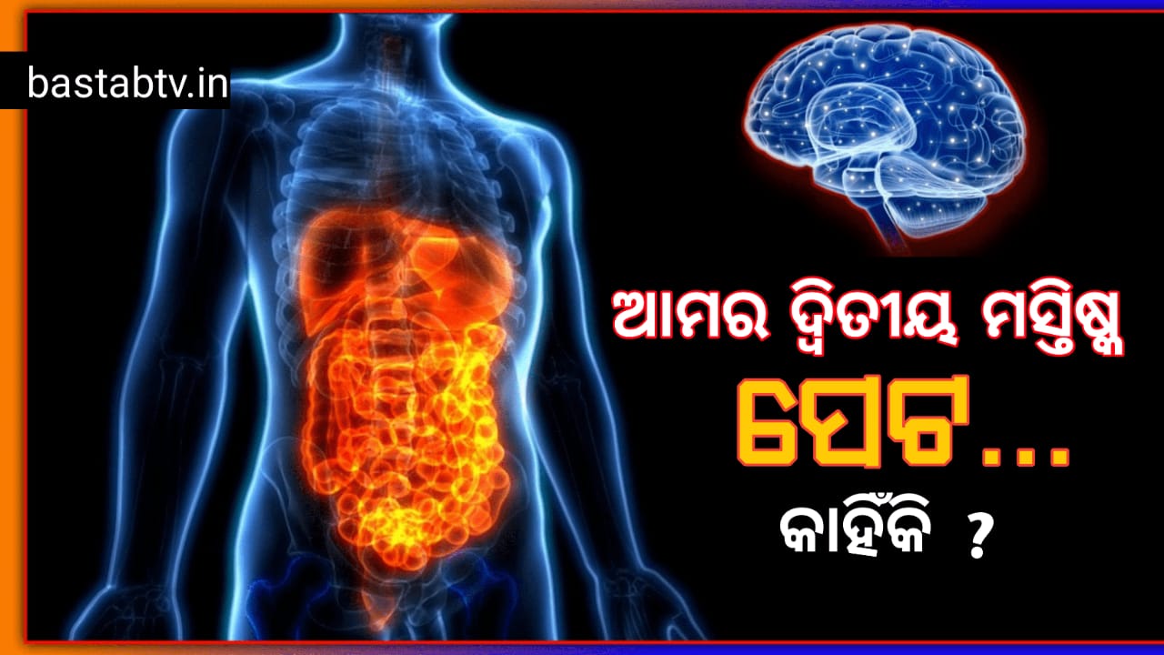 ଦ୍ୱିତୀୟ ମସ୍ତିଷ୍କ ହେଉଛି ପେଟ: ପ୍ରୋବାୟୋଟିକ୍ସ ହେଉଛି ସ୍ୱାସ୍ଥ୍ୟର ସଂଜୀବନୀ,ଯୌନ ସମସ୍ୟାର ସମାଧାନ ପାଇଁ ରାମବାଣ…