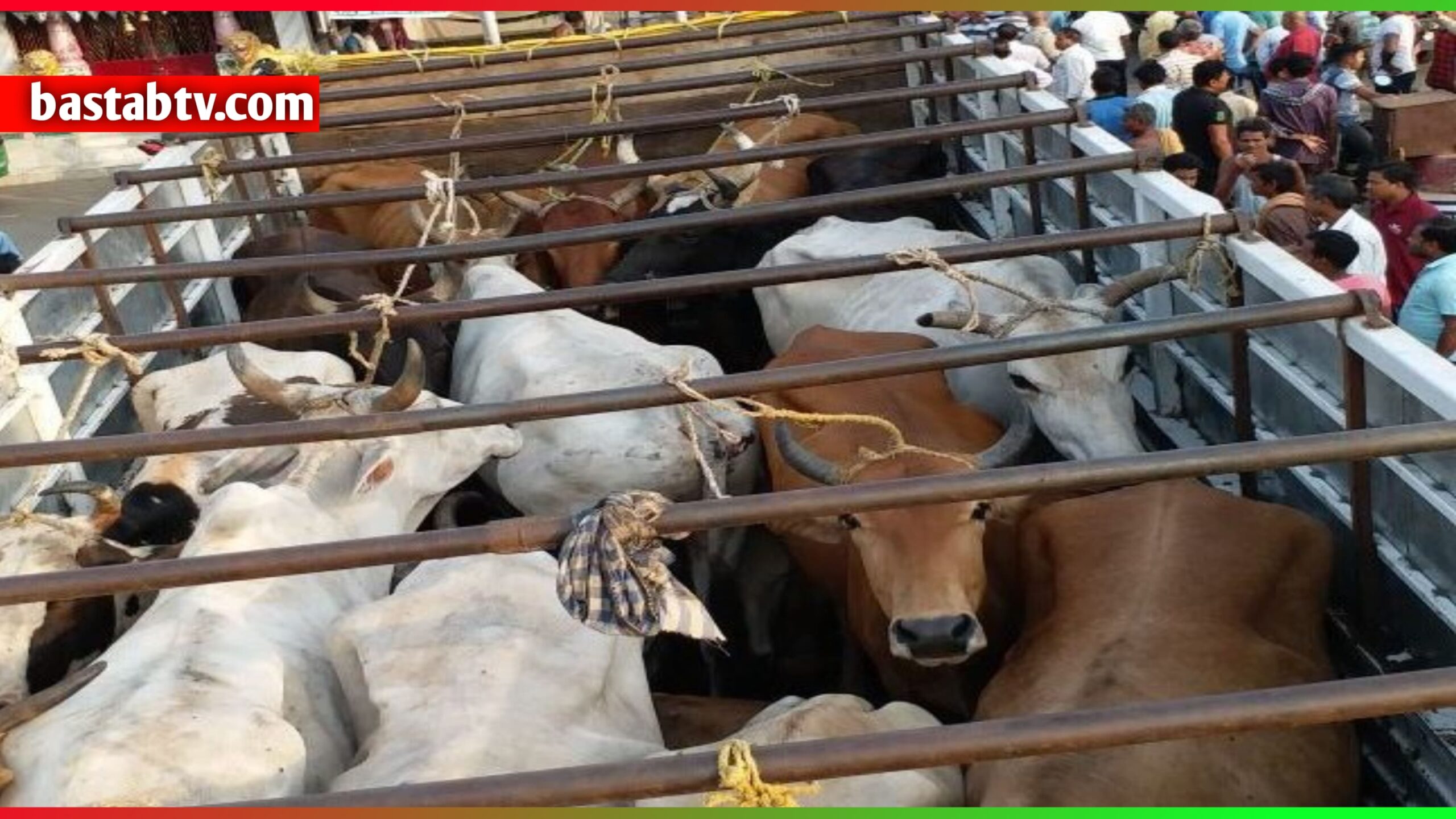 ବେଆଇନ ଗୋ-ଚାଲାଣ ବେଳେ ପୁଲିସ ଭୟରେ ଗାଡ଼ିରୁ ଡେଇଁ  ଜଣଙ୍କର ମୃତ୍ୟୁ…