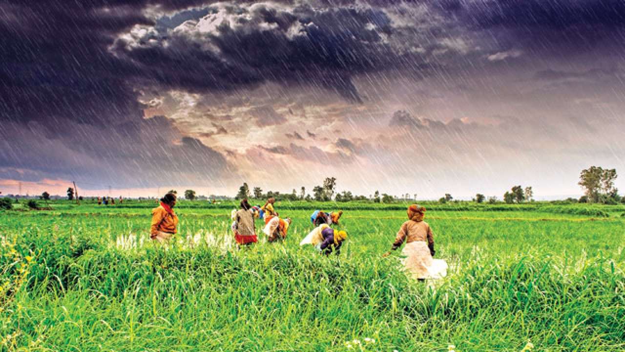 ଆଇଏମଡି ର ପୂର୍ବାନୁମାନ:ଏଥର ମୌସୁମୀ ସ୍ୱାଭାବିକ ରହିବ