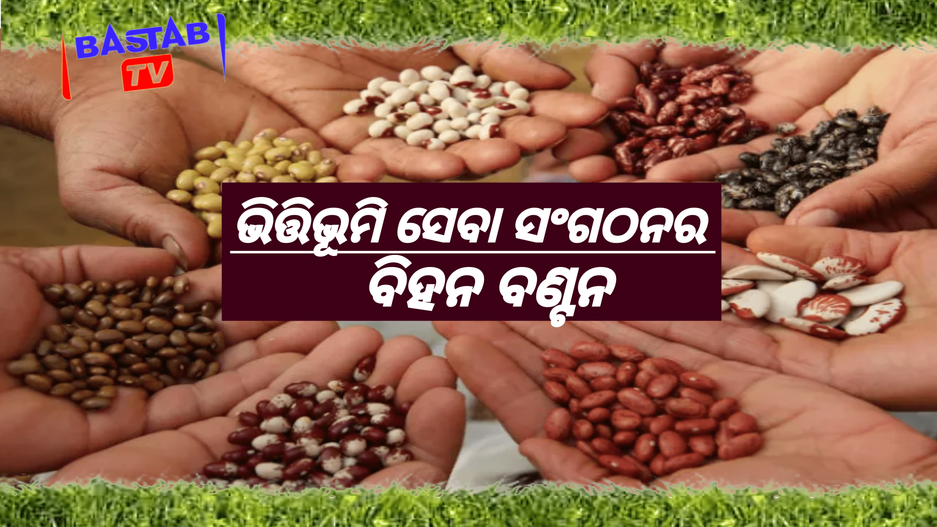 ଭିତ୍ତିଭୂମି ସେବା ସଂଗଠନର ଚାଷୀଙ୍କୁ ବିହନ ବଣ୍ଟନ କାର୍ଯ୍ୟକ୍ରମ…