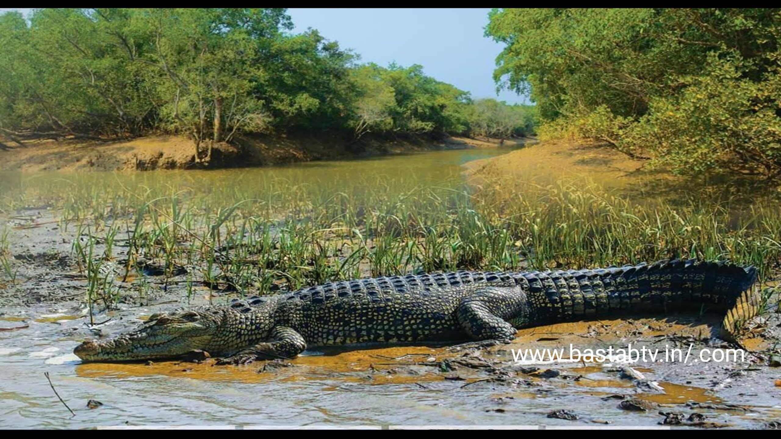 ପର୍ଯ୍ୟଟକଙ୍କ ପାଇଁ ଆଜିଠାରୁ ଖୋଲିଲା ଭିତରକନିକା….