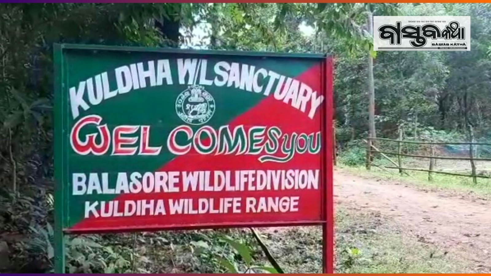 ନଭେମ୍ବର ୪ରୁ ପର୍ଯ୍ୟଟକଙ୍କ ପାଇଁ ଖୋଲିବ କୁଲଡିହା ଅଭୟାରଣ୍ୟ….